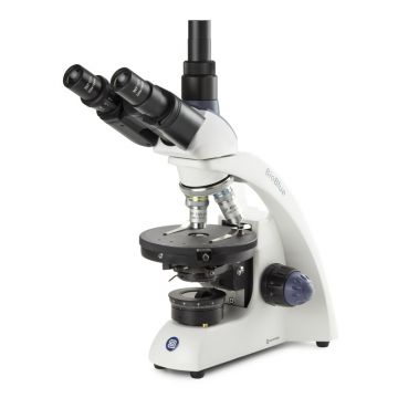 Euromex - BioBlue - BB.4241‑P‑HLED -  -  - 